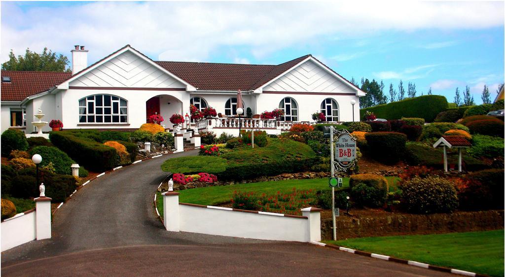 The White House B&B Cork Buitenkant foto